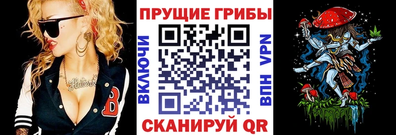 Галлюциногенные грибы мицелий  Купить закладки  Электрогорск 